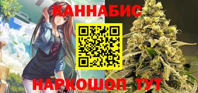 шишки Кандалакша