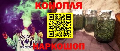 шишки Кандалакша