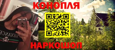 МДПВ Камышлов