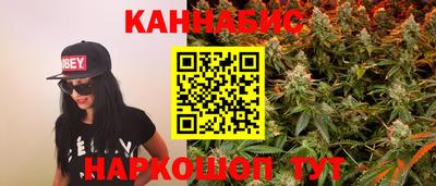 шишки Кандалакша